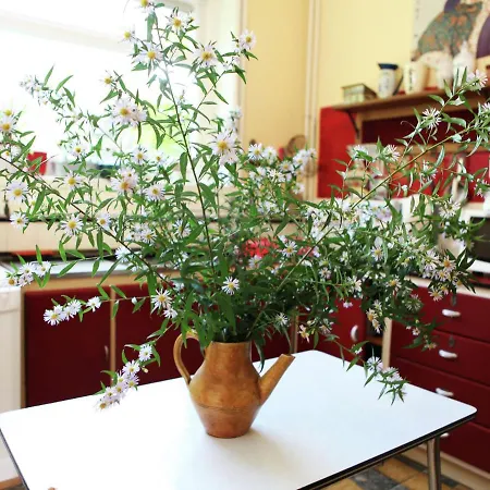 Comfortable Mansion In Doomkerke Near Forest בית נופש Wijtstraat